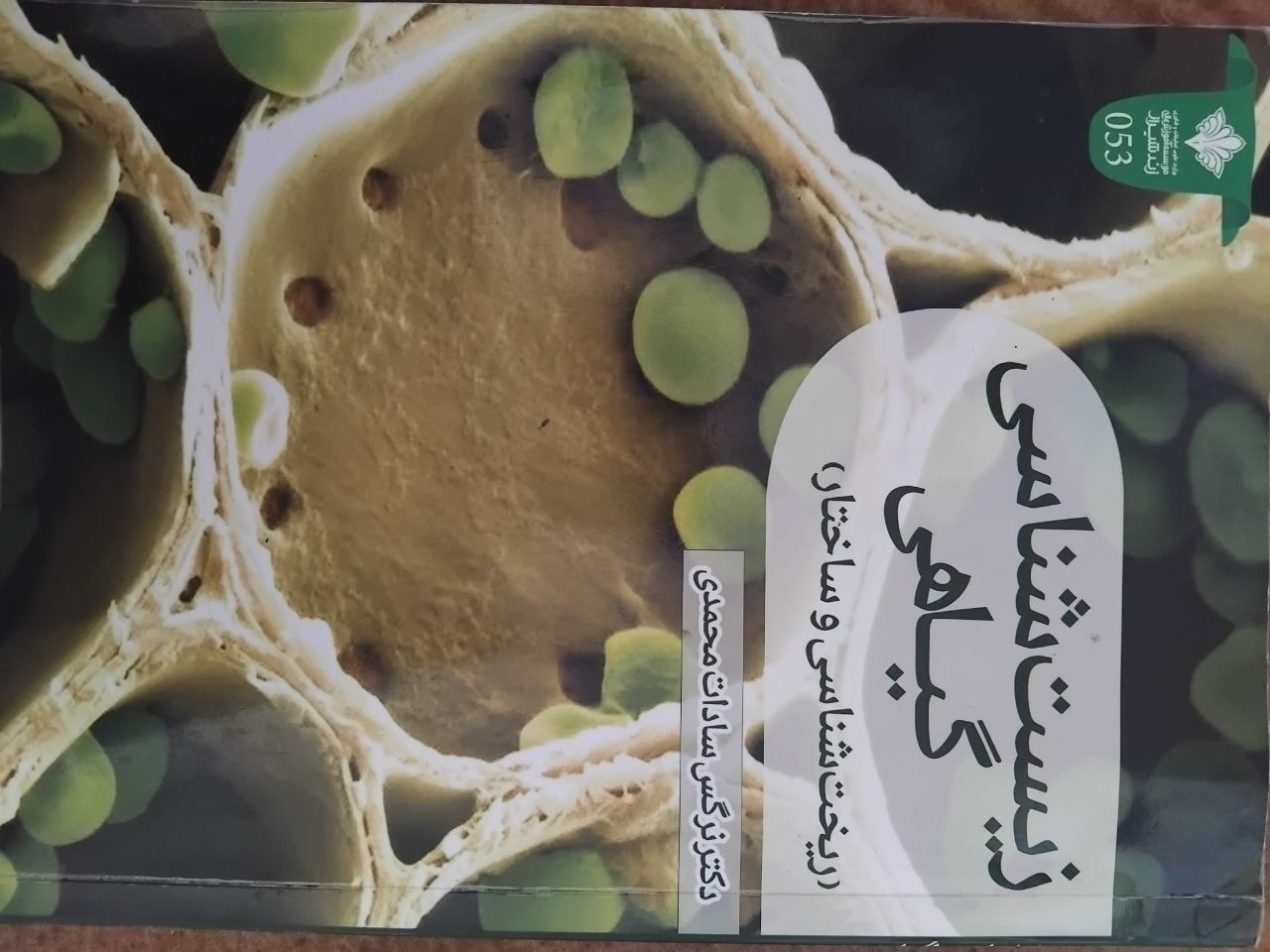 زیست شناسی گیاهی (ریخت شناسی وساختار)